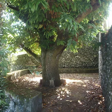 Casa Da Borboleta Séjour chez l'habitant São Vicente Ferreira